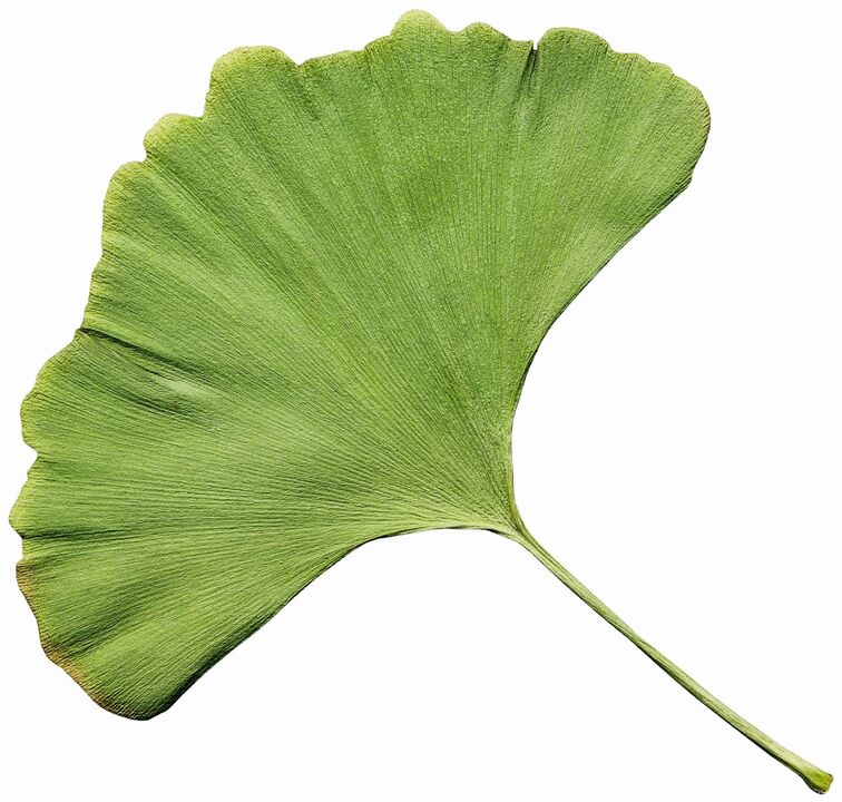 The zxcvbnmqwert cream contains the gingco biloba extract