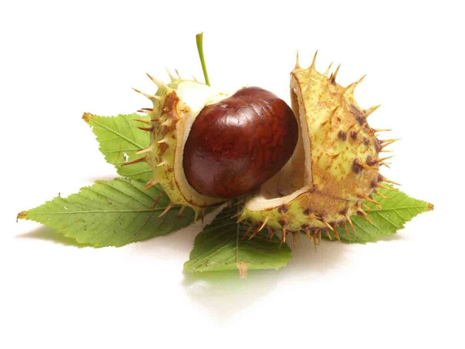 Variconie cream contains the horse chestnut extract